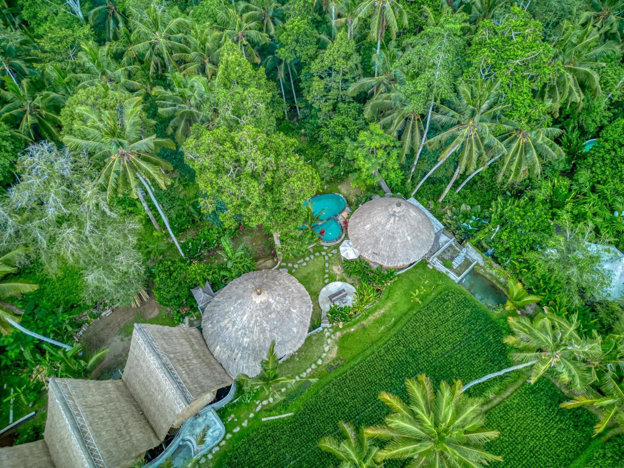 Bamboo Cabin Sanctuary By Nusantara Hospitality Убуд Екстериор снимка